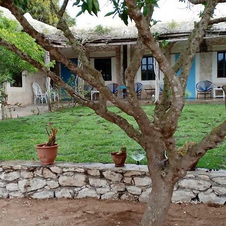 La Maison Essaouira Otel Dış mekan fotoğraf