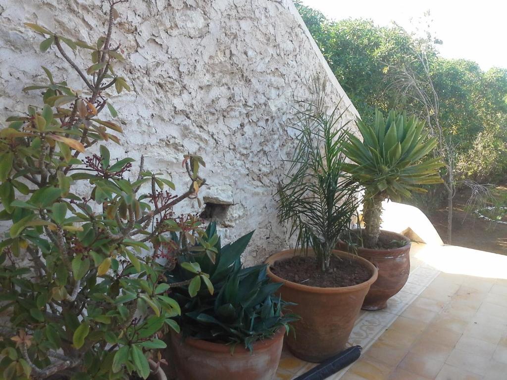 La Maison Essaouira Otel Dış mekan fotoğraf