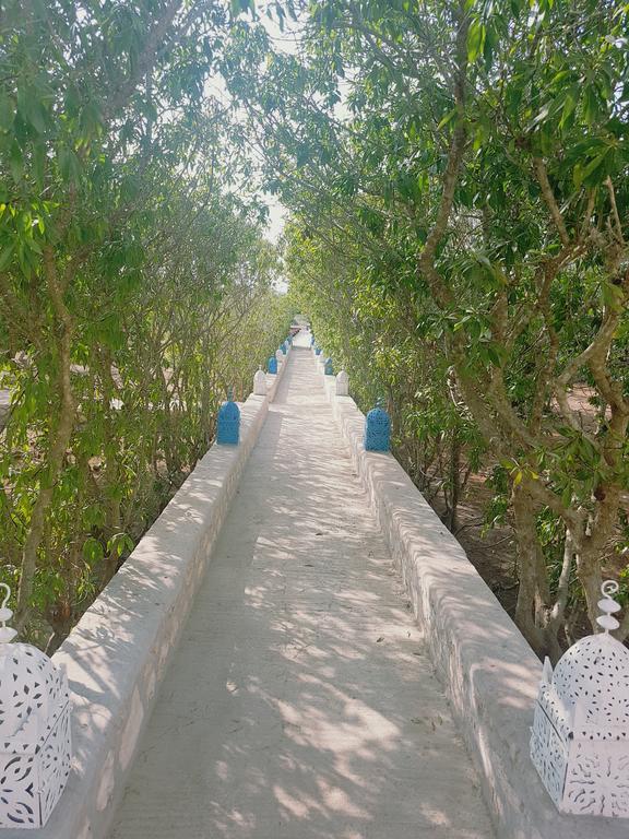 La Maison Essaouira Otel Dış mekan fotoğraf