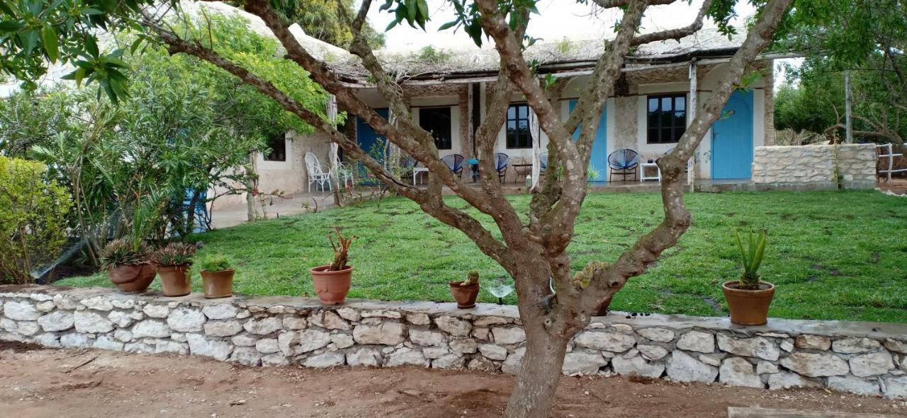 La Maison Essaouira Otel Dış mekan fotoğraf